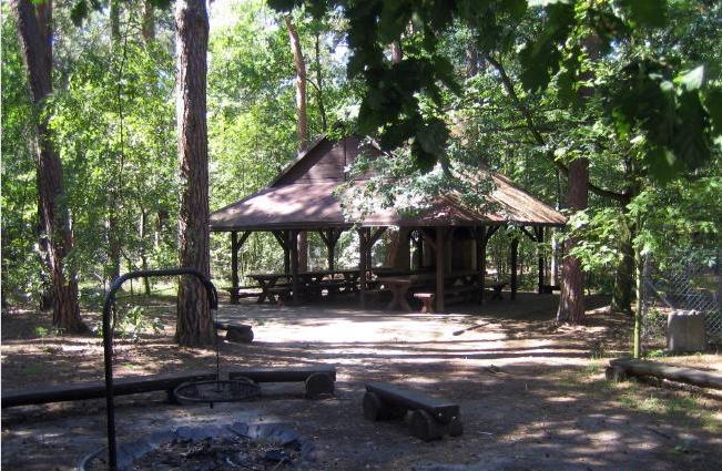 SekocinLesna Polana住宿加早餐旅馆 外观 照片